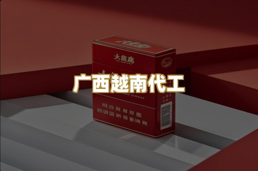 广西越南代工